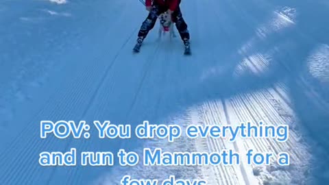 POV: You drop everything and run to Mammoth for a few days