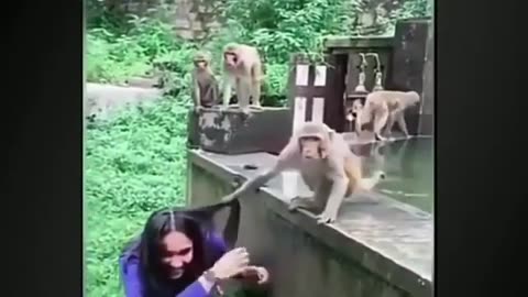 #The funniest monkey part 1😍//🙉🙉🙉
