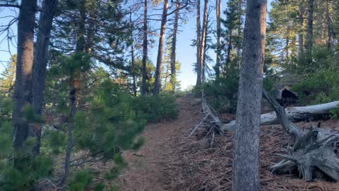 Central Oregon – Paulina Lake “Grand Loop” – Climbing to Little Crater Viewpoint