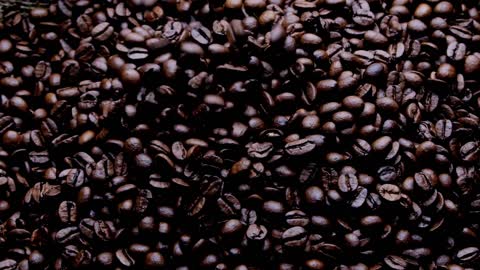 coffee beans 2021