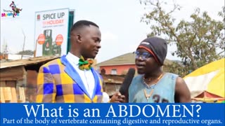What is abdomen