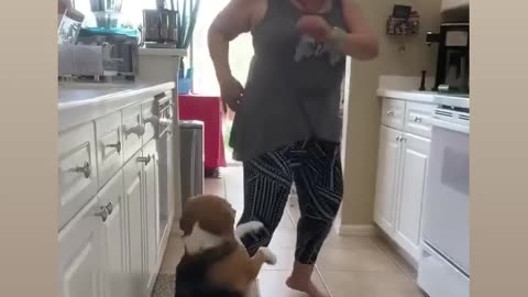 A Dog's Dance to Delight Your Hear
