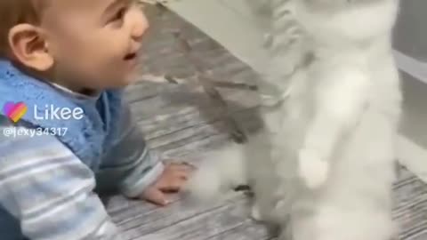 Small baby and white bug dog