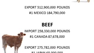 What country imports the most beef into the United States?