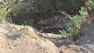 Truck Expertly Navigates Cliff's Edge