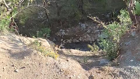 Truck Expertly Navigates Cliff's Edge