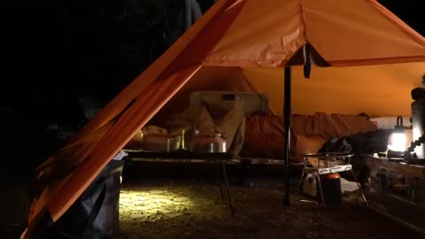 Solo in the Rain Forest Interesting Tarp Tent Camping _ Rain ASMR, Cozy Vibes, DD Tarp