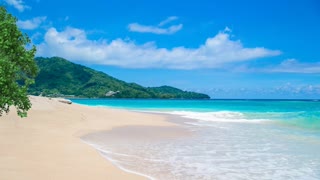 Relax Library: Video 29.Paradise Beach . Relaxing videos and sounds