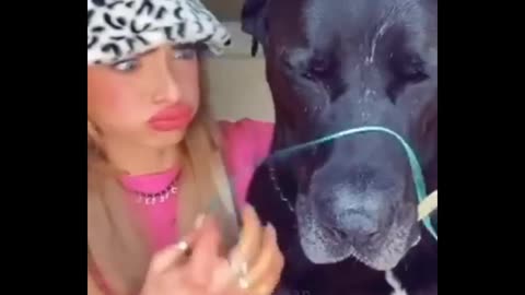 Funny video cats 😻😻🐱and dog🐕🐶👌