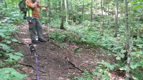 jockeybush lake hike in Adirondack moutains