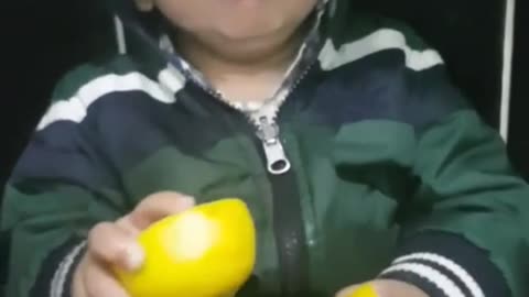 Babies eating lemons for the first time..