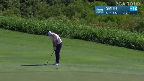 Cameron Smith's beautiful chip for Shot of the Day