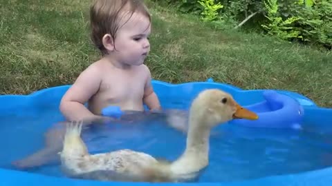 funny video of cute baby with duck | funny baby reaction to duckling in the pool