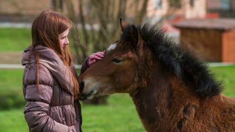 Woman petting young brown horse with black mane