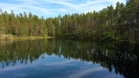 aerial view of the lake and forest in finland beautiful nature of finland