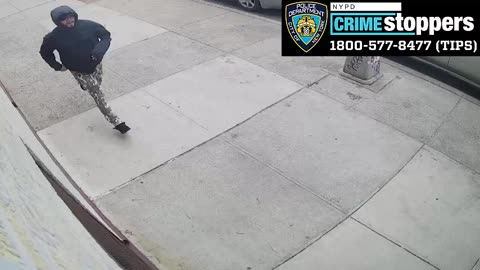 The New York City Police Department is asking the public's assistance