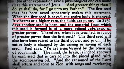 🥩 Meat~Solar Plexus~Bethlehem~Christ Within~ Mirrored