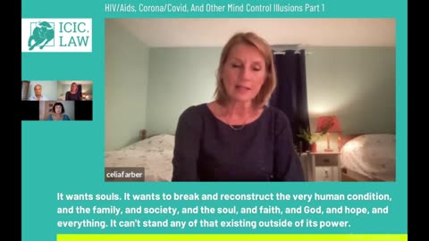 Latest Update Dr Reiner Fuellmich ICIC Guest Celia Farber Exposing Covid-19, CoronaVirus, HIV Aids and Other Mind Control Illusions part 1