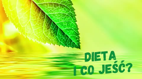 04 - Dieta i Co Jeść