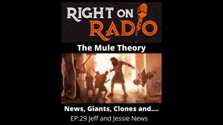 Right On Radio Episode #29 - The Mule Theory (September 2020)