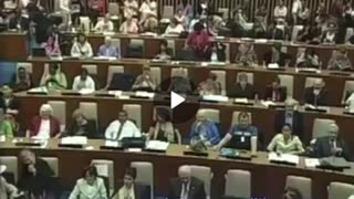 2006 U.N council chemtrail presentation