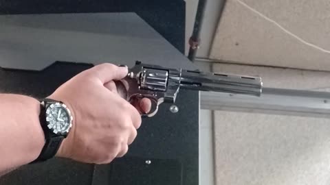 Colt Python