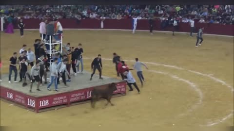 The Funniest Bullfighters in the World || Most awesome bullfighting festival