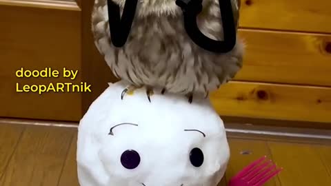 📱PHONE CALL 📱 Video used for the animation#funny #owl #bird #LeopARTnik #phonecall