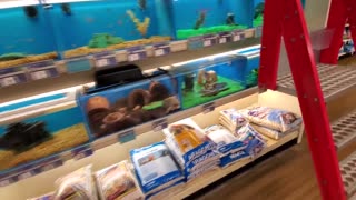 EXPLORING PETSMART ! ANIMAL FRIENDS EVERYWHERE!