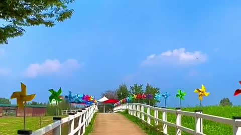 Blue sky and white clouds