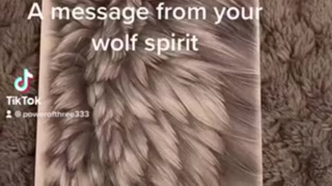 A message from your wolf spirit
