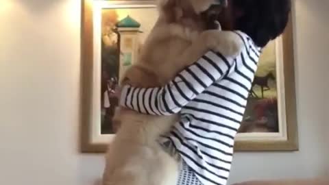 Cute Dogs getting hugs🥰 and kisses😘!!