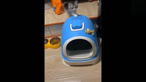 Cute Baby Pets Video Doing Funny Things 2021 💗