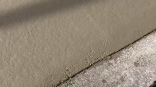 Girl Walks Straight Into Wet Cement