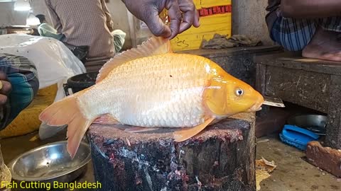 Amazing Orange Carp Fish Cutting Skills | Fish Cutting Bangladesh