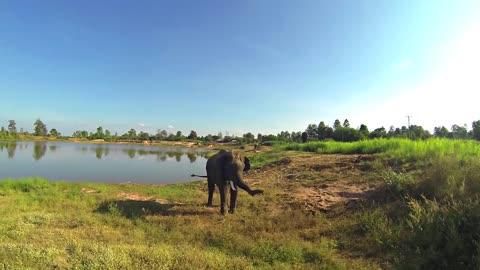 Thailand's Natur am Wegesrand (Trailer)
