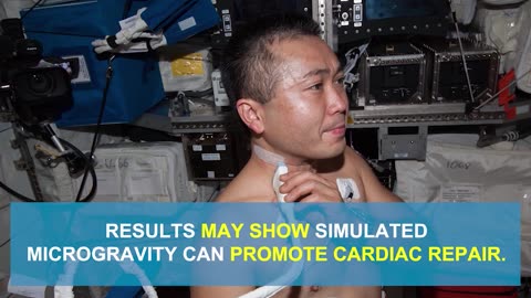 Cardiac-Biology-In-Space