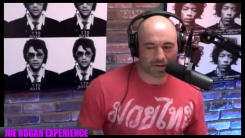 Joe Rogan Experience #537 - Rich Vos.MP4