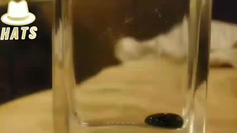 Graphene Oxide Connects To Magnets. It’s In You!!!