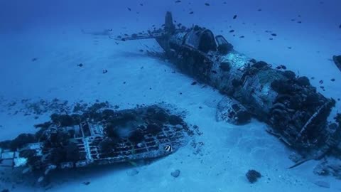 12 Most Incredible Abandoned Planes-17