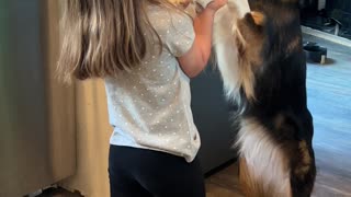 Girl Sweetly Serenades Dog