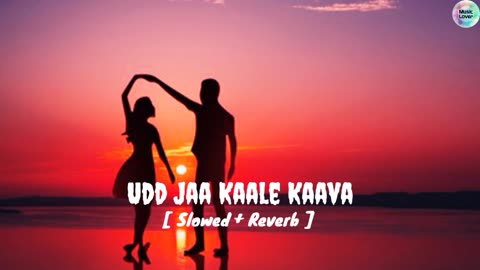 Udd Jaa Kaale Kaava Lofi Song 🎵