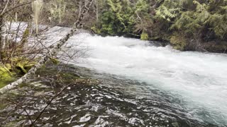 The River's Edge Top of Koosah Falls – Sahalie Falls & Koosah Falls Loop – Central Oregon – 4K