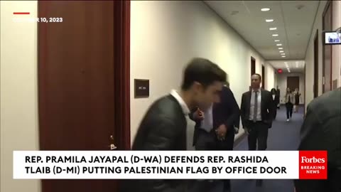 'She Has Every Right To Have That Palestinian Flag'- Pramila Japyal Defends Rashida Tlaib