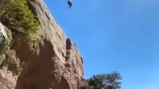 would you dare to jump?