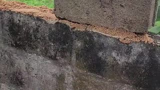 a brick for a little guy