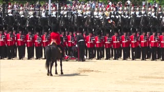 Royal guards collapse in heat at rehearsal
