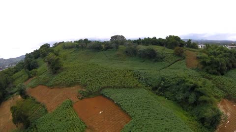 Fpv Freestyle Drone 6s with GoPro Session 4 in Taman Budaya, Sentul Bogor