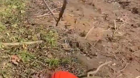 Demolishing A Radio Tower With A Band Saw