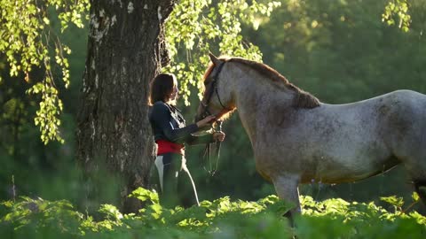 Girl rider stands with a horse near a tree against a green forest and the rays of the morning sun